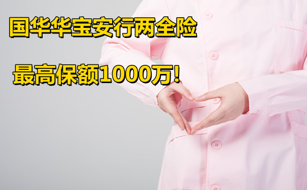 最高保额1000万!国华华宝安行两全险好不好-案例演示+价格表_1