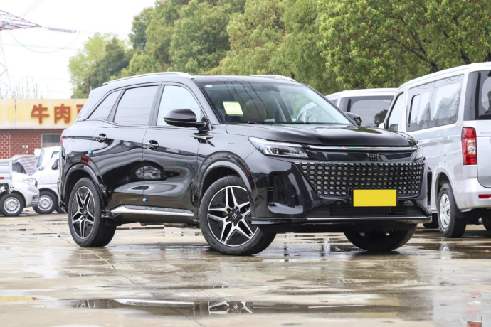 10来万预算买电混SUV，蓝电E5和启辰大V DD-i该怎么选